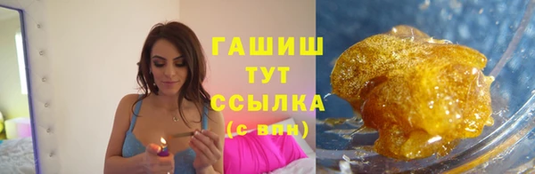 индика Аркадак